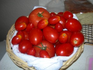 The tomatoes before I started cutting them into large pieces.