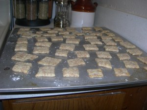 Wheat thins fresh from the oven.